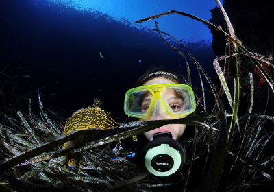 Agenzia/operatore Turistico Diving Center Mister Jump